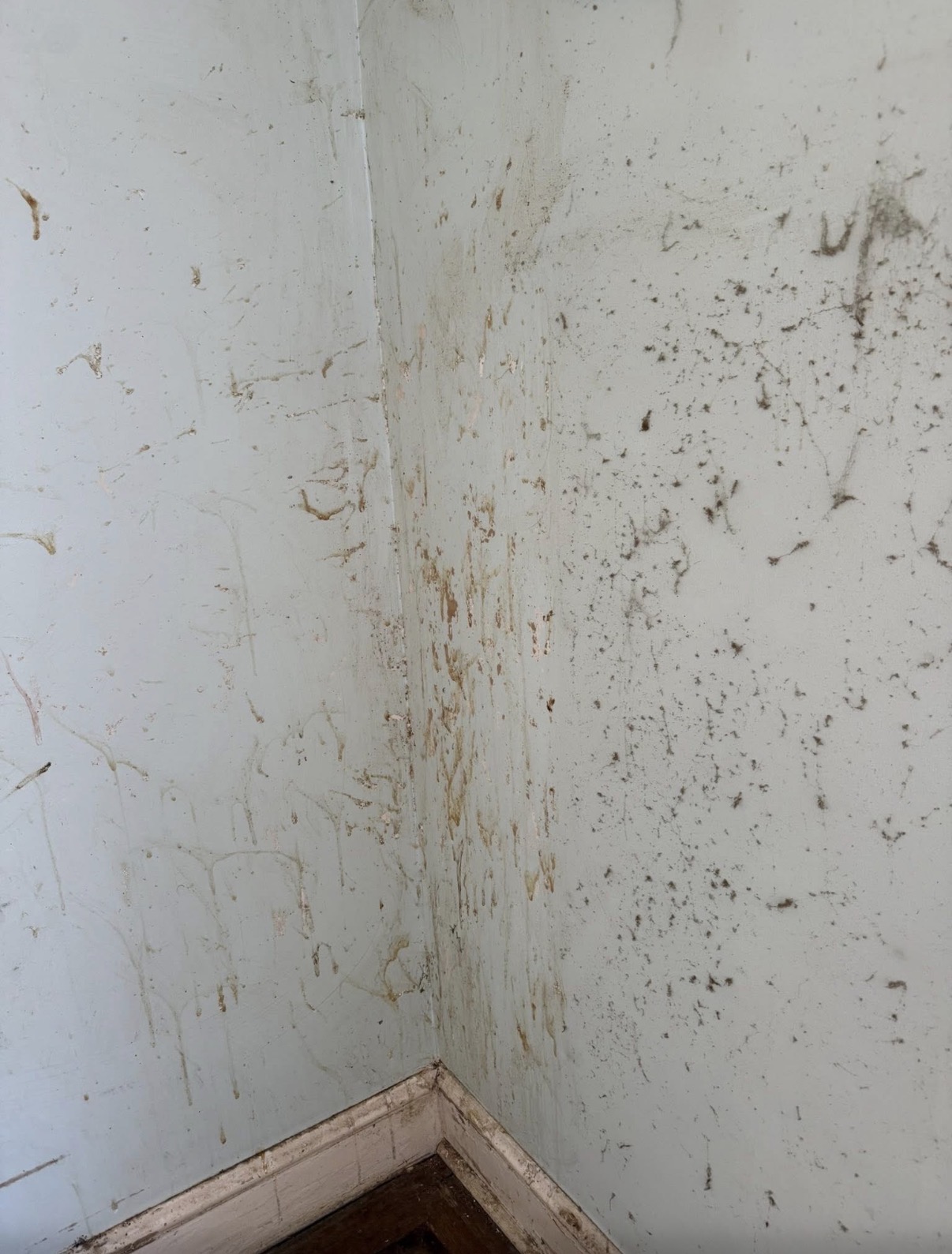 Kitchen ceiling with large brown grease stain